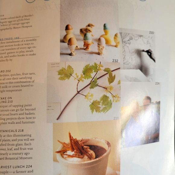 Martha Stewart Living Magazine - Picture 2 of 3